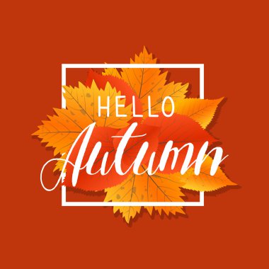 Sonbahar yeni sezon Merhaba. Elle çizilmiş harfleri ile yazı. Sarı kırmızı yaprakları ile etiket ve afiş şablon