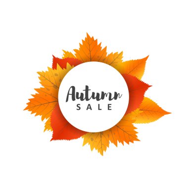 Sonbahar satış ve indirimler, yeni sezon fırsatları ve sunuyoruz. Elleri ile boyalı yazı. Sarı kırmızı yaprakları ile etiket ve afiş şablon