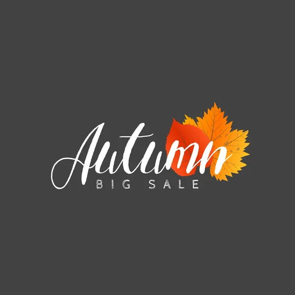 Otoño nueva temporada de ventas y descuentos, ofertas y oferta. Letras pintadas con sus manos. Plantilla de etiqueta y banner con hojas amarillas rojas — Archivo Imágenes Vectoriales