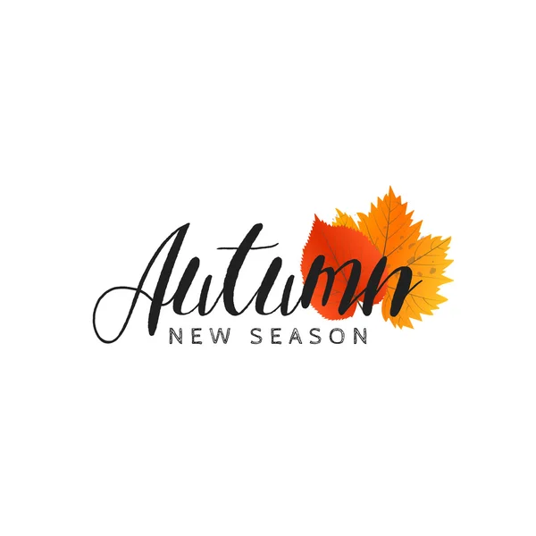 Hösten nya säsongen av försäljning och rabatter, erbjudanden och erbjuder. Målade bokstäver med händerna. Etikett och banner mall med gula röda blad — Stock vektor