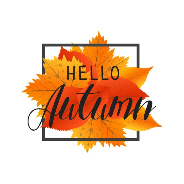 Hallo herfst nieuwe seizoen. Belettering met de hand getekende letters. Label en banner sjabloon met gele rode bladeren — Stockvector