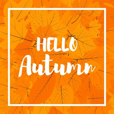 Sonbahar yeni sezon Merhaba. Elle çizilmiş harfleri ile yazı. Sarı kırmızı yaprakları ile etiket ve afiş şablon