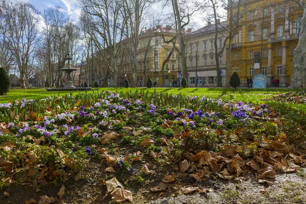 Flores no parque Zrinjevac em Zagreb — Fotografia de Stock