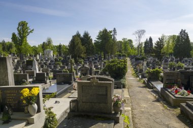     Tarihi mezarlık Mirogoj Zagreb 