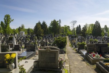     Tarihi mezarlık Mirogoj Zagreb 