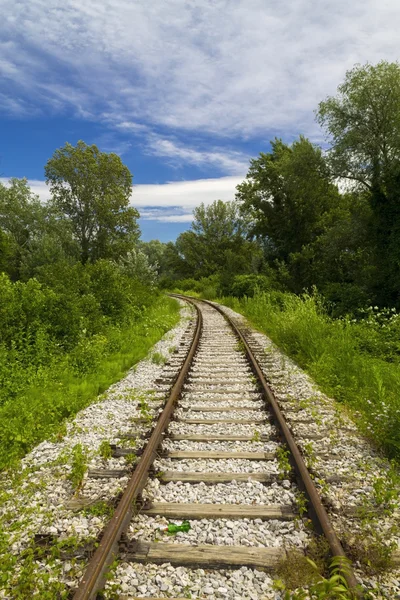 绿色森林的铁轨 — 图库照片