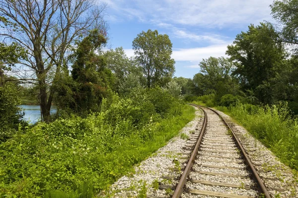 Koryta toru kolejowego zielony las — Zdjęcie stockowe