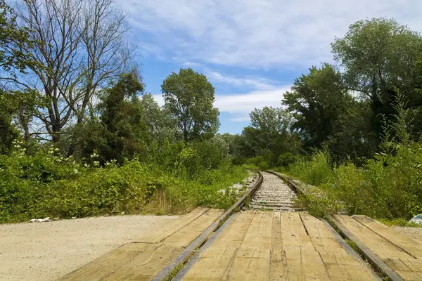 Voie ferrée à travers la forêt verte — Photo