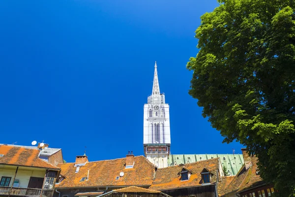 Catedral de Zagreb vista de um parque — Fotografia de Stock