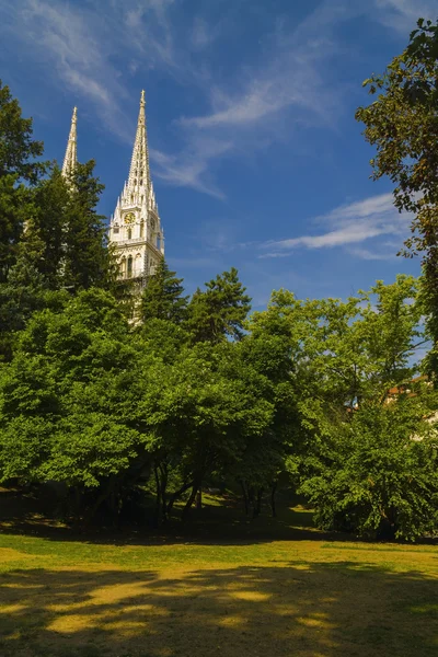 Zagreb kathedraal uitzicht vanaf een park — Stockfoto