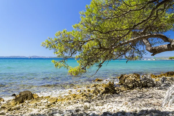 クロアチアの自然の美しいビーチ — ストック写真