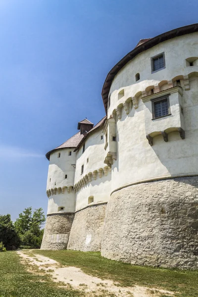 Středověký hrad v Chorvatsku — Stock fotografie