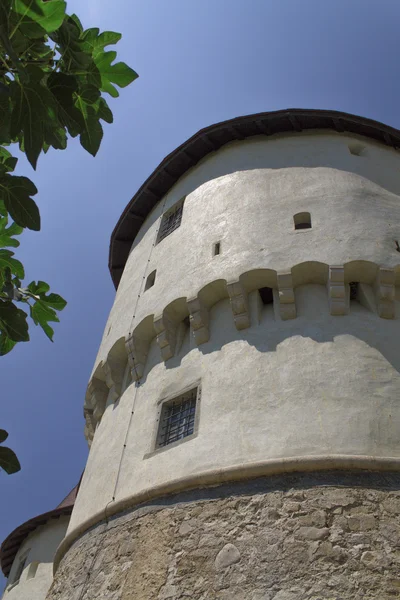 Średniowieczny zamek w Chorwacji — Zdjęcie stockowe