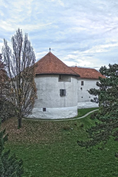 Старий замок міста у Хорватії — стокове фото