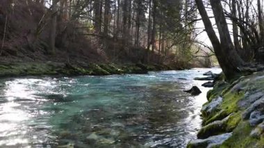 Bled, Julian Alps, Slovenya yakınlarındaki Vintgar Vadisi 'ndeki Radovna Nehri' nin hızlı ve berrak suları.