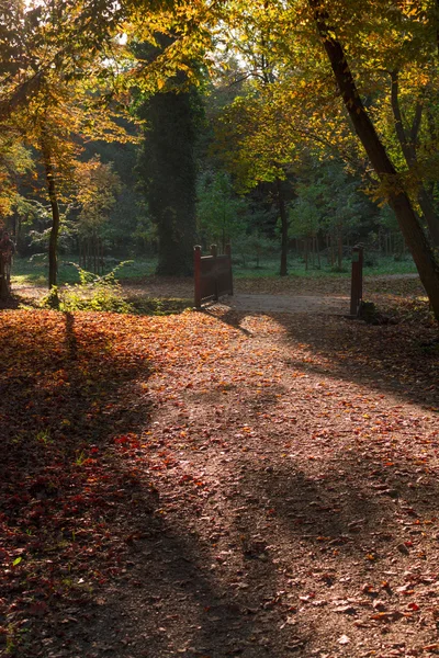 Autumn in park Maksimir — Stock Photo, Image