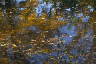 Sonbahar Gölü sahne