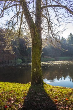 Trakoscan güzel göl