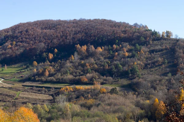 Piękne krajobrazy w chorwacki Zagorje — Zdjęcie stockowe