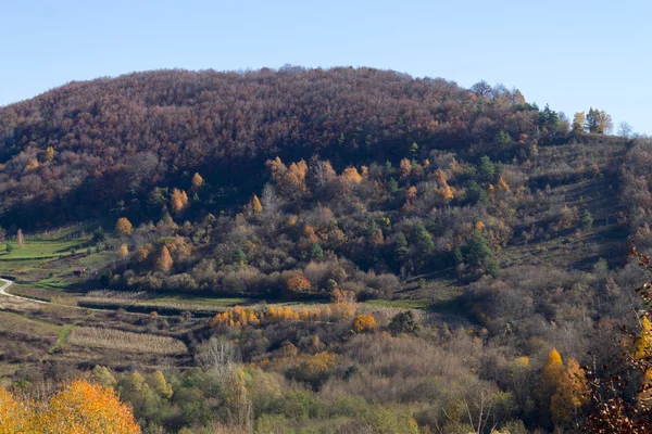 Красивая сельская местность в Хорватском Загорье — стоковое фото