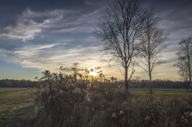 Güzel renkli kırsal günbatımı