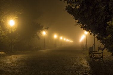 Zagreb Maksimir parkında sisli sahne