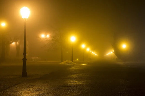 Zagreb Maksimir parkında sisli sahne