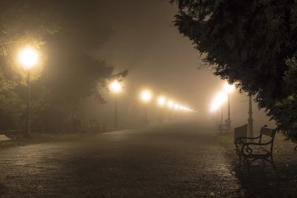 Foggy scene in a Maksimir park in Zagreb — Stock Photo, Image