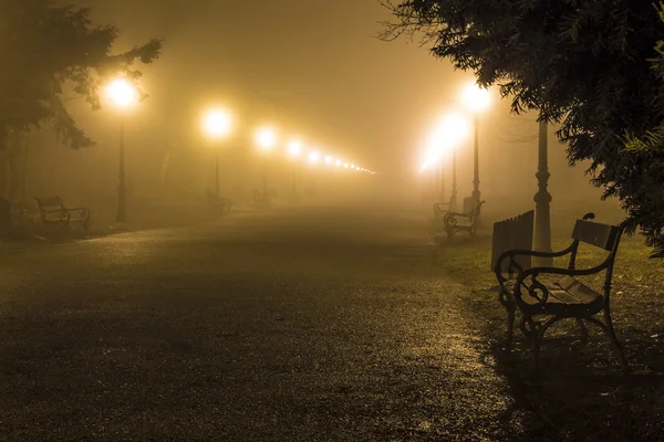 Foggy scene in a Maksimir park in Zagreb — Stock Photo, Image