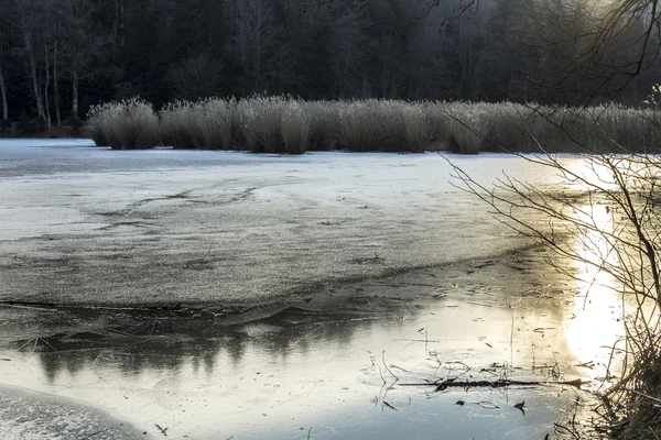 Озеро на заході сонця взимку — стокове фото