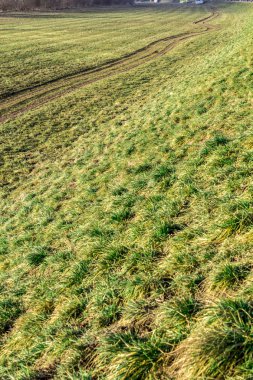 Manzara nehir Sava Zagrep yakınındaki bir çayır