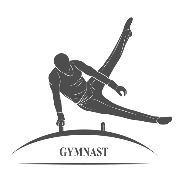 Cheval gymnaste masculin — Photo