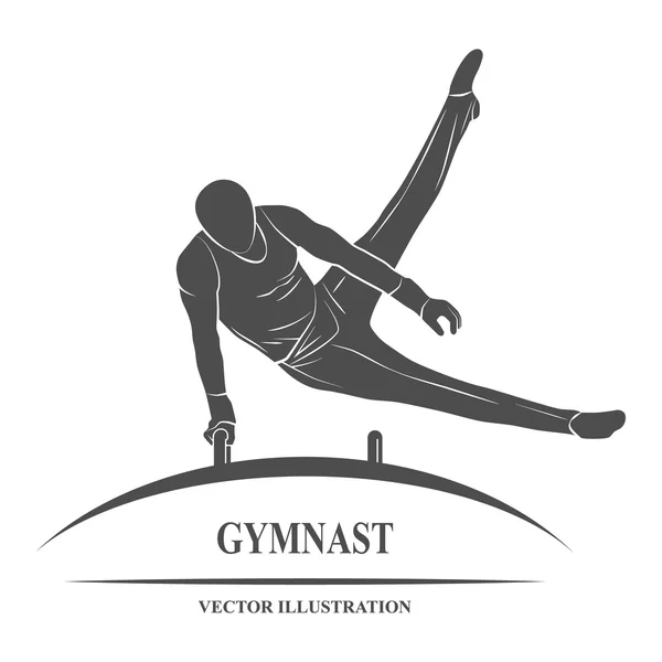 Caballo gimnasta macho — Vector de stock