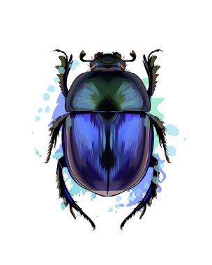 Bir damla suluboya, renkli çizim, gerçekçi Scarab böceği