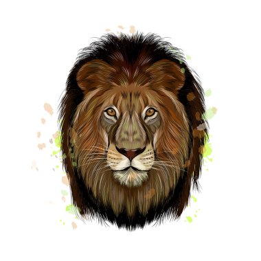 Bir damla suluboya, renkli çizim, gerçekçi bir aslan başı portresi.