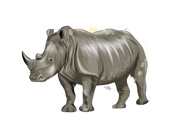 Nashorn aus einem Spritzer Aquarell, farbige Zeichnung, realistisch — Stockvektor