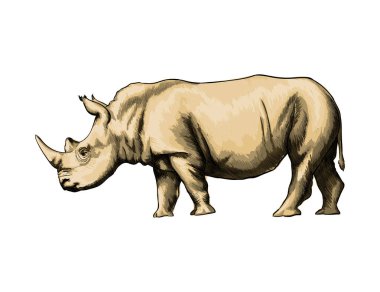 Bir damla suluboya, renkli çizim, gerçekçi gergedan.