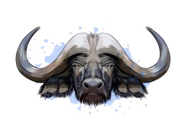 Bizon, bufalo kafası portresi suluboya, renkli çizimler, gerçekçi.