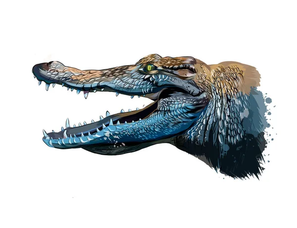 Bir damla suluboya, renkli çizim, gerçekçi timsah kafası portresi — Stok Vektör