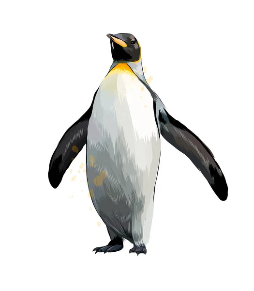 Pinguino imperatore da una spruzzata di acquerello, disegno a colori, realistico — Vettoriale Stock