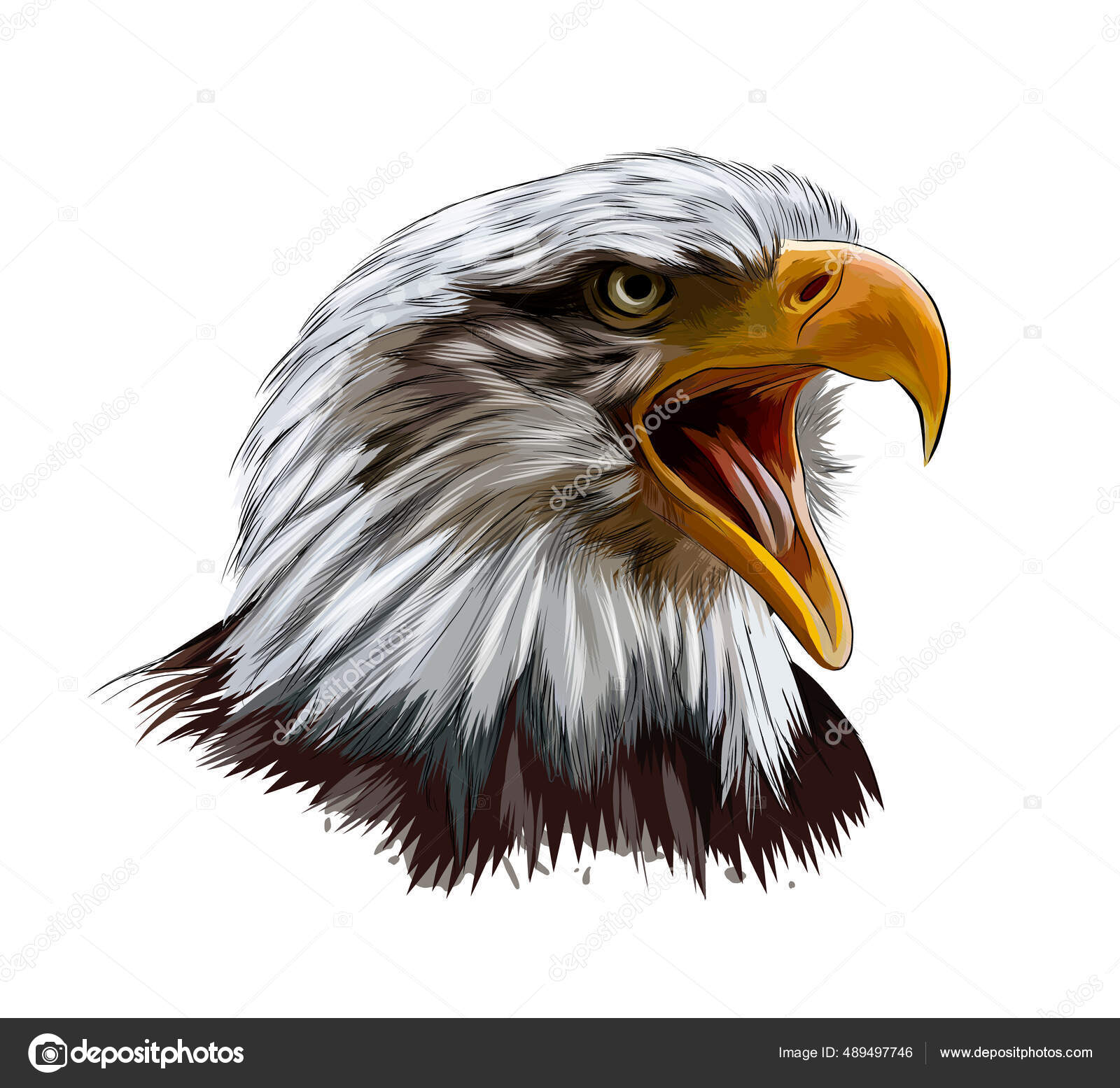 My Image 30