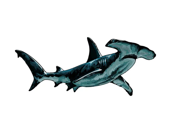 Акула молотка з бризкою акварелі, кольоровий малюнок, реалістичний — стоковий вектор