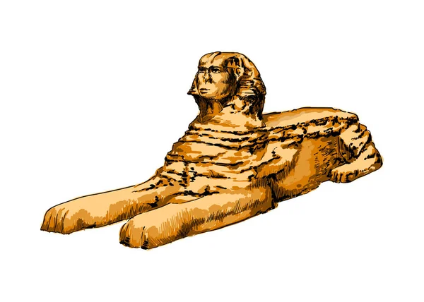 Grand sphinx de Gizeh d'une éclaboussure d'aquarelle, dessin coloré, réaliste — Image vectorielle