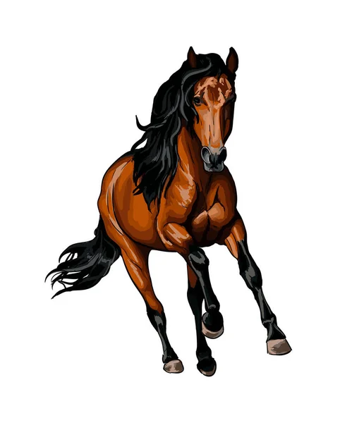 Cavallo che corre al galoppo da spruzzi di acquerelli, disegno a colori, realistico — Vettoriale Stock