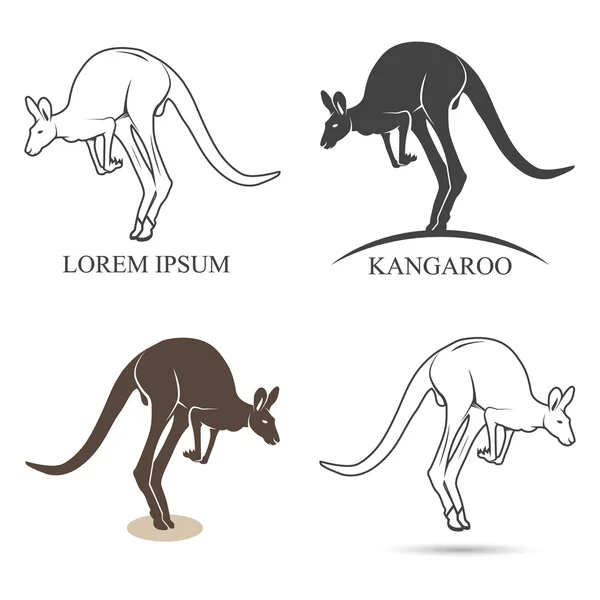 Kangaroo silhouettes on the white background — Stock Vector