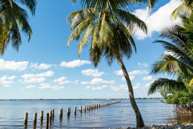 Edison Pier Caloosahatchee nehir, Fort Myers, Florida, ABD