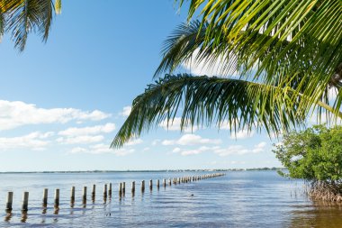 Edison Pier Caloosahatchee nehir, Fort Myers, Florida, ABD