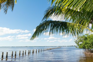 Edison Pier in Caloosahatchee River, Fort Myers, Florida, USA clipart