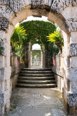 Miami, Florida'da Villa Vizcaya bahçeleri