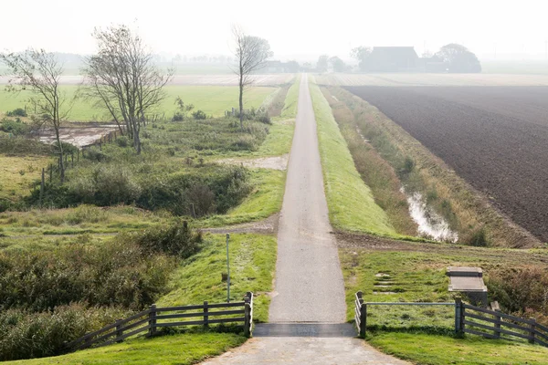 オランダ、フリースラント州の道路と干拓地 — ストック写真